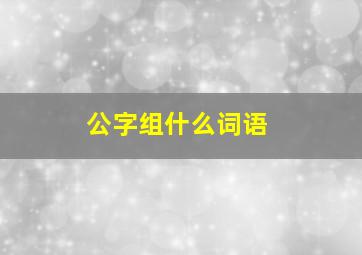 公字组什么词语