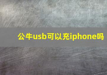 公牛usb可以充iphone吗