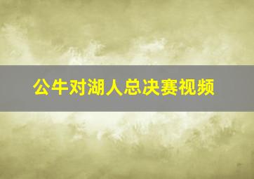 公牛对湖人总决赛视频