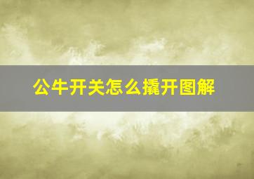 公牛开关怎么撬开图解