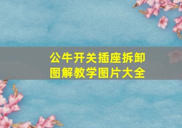 公牛开关插座拆卸图解教学图片大全