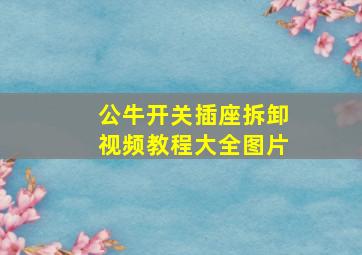 公牛开关插座拆卸视频教程大全图片