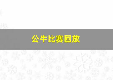 公牛比赛回放