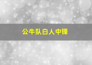 公牛队白人中锋