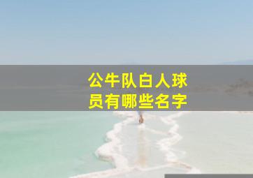 公牛队白人球员有哪些名字