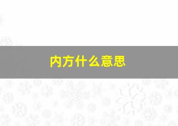 内方什么意思