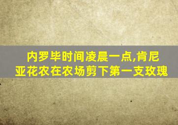 内罗毕时间凌晨一点,肯尼亚花农在农场剪下第一支玫瑰