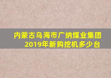 内蒙古乌海市广纳煤业集团2019年新购挖机多少台