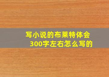 写小说的布莱特体会300字左右怎么写的