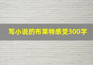 写小说的布莱特感受300字