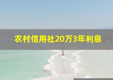 农村信用社20万3年利息