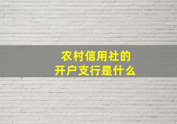 农村信用社的开户支行是什么