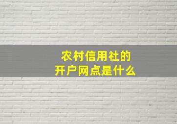 农村信用社的开户网点是什么