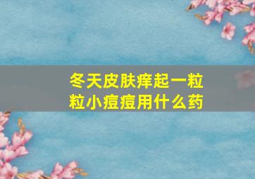 冬天皮肤痒起一粒粒小痘痘用什么药