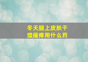 冬天腿上皮肤干燥瘙痒用什么药