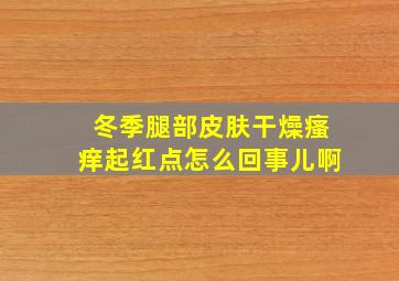 冬季腿部皮肤干燥瘙痒起红点怎么回事儿啊