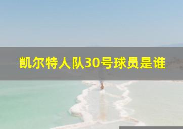 凯尔特人队30号球员是谁