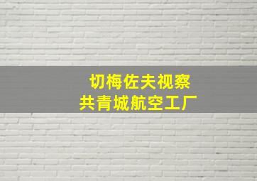 切梅佐夫视察共青城航空工厂