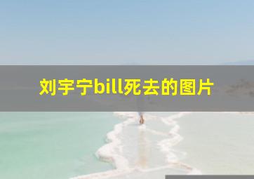 刘宇宁bill死去的图片