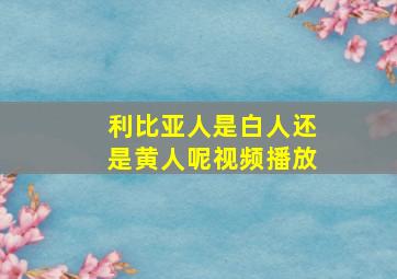 利比亚人是白人还是黄人呢视频播放