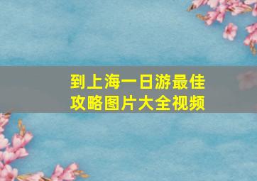 到上海一日游最佳攻略图片大全视频