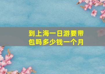 到上海一日游要带包吗多少钱一个月