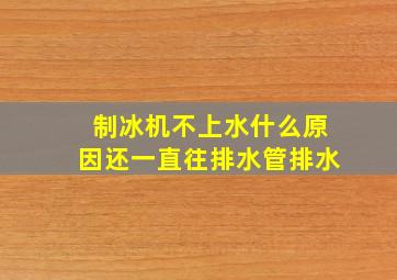 制冰机不上水什么原因还一直往排水管排水