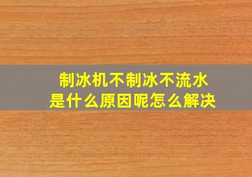 制冰机不制冰不流水是什么原因呢怎么解决