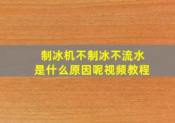 制冰机不制冰不流水是什么原因呢视频教程