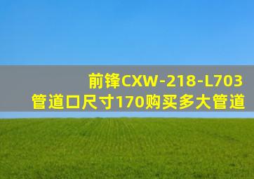 前锋CXW-218-L703管道口尺寸170购买多大管道