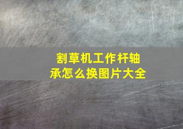 割草机工作杆轴承怎么换图片大全