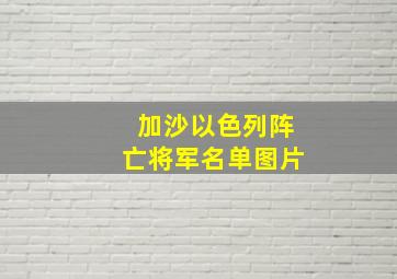 加沙以色列阵亡将军名单图片