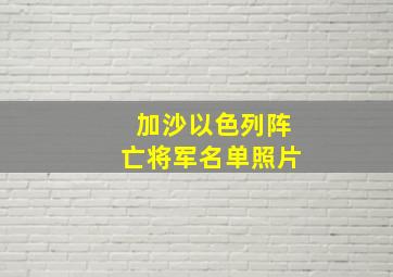 加沙以色列阵亡将军名单照片