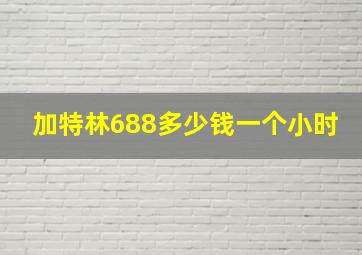 加特林688多少钱一个小时