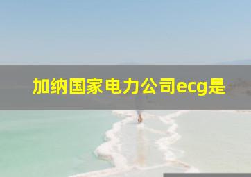 加纳国家电力公司ecg是