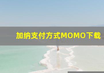 加纳支付方式MOMO下载