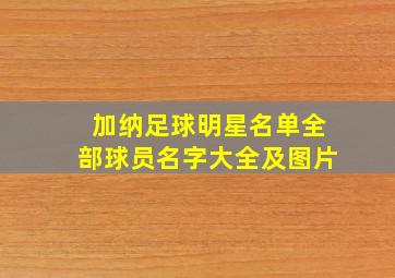 加纳足球明星名单全部球员名字大全及图片