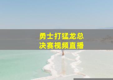 勇士打猛龙总决赛视频直播