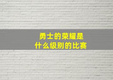 勇士的荣耀是什么级别的比赛