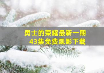 勇士的荣耀最新一期43集免费观影下载