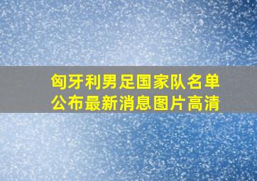 匈牙利男足国家队名单公布最新消息图片高清