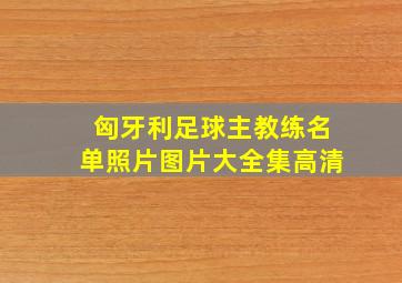 匈牙利足球主教练名单照片图片大全集高清