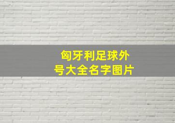 匈牙利足球外号大全名字图片