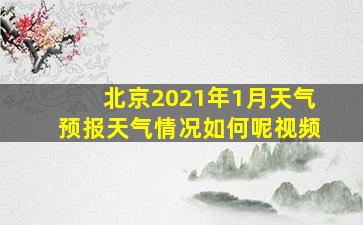 北京2021年1月天气预报天气情况如何呢视频