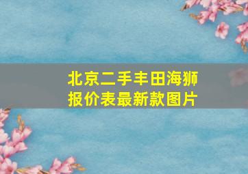 北京二手丰田海狮报价表最新款图片