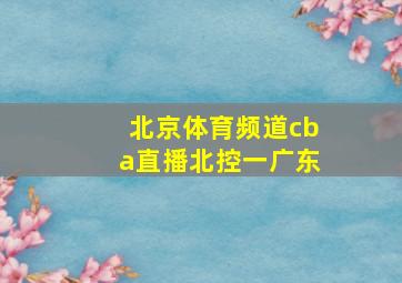 北京体育频道cba直播北控一广东