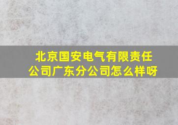 北京国安电气有限责任公司广东分公司怎么样呀