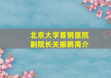 北京大学首钢医院副院长关振鹏简介