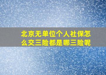 北京无单位个人社保怎么交三险都是哪三险呢