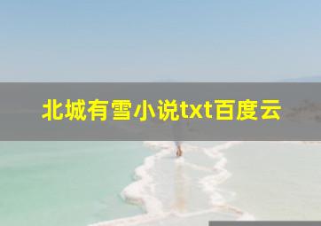 北城有雪小说txt百度云